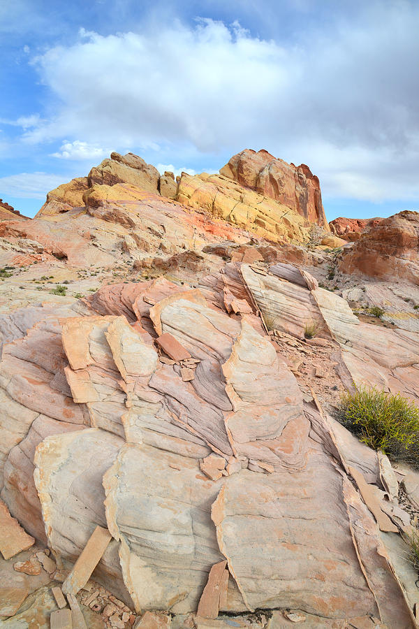 Valley of Fire #310 Photograph by Ray Mathis