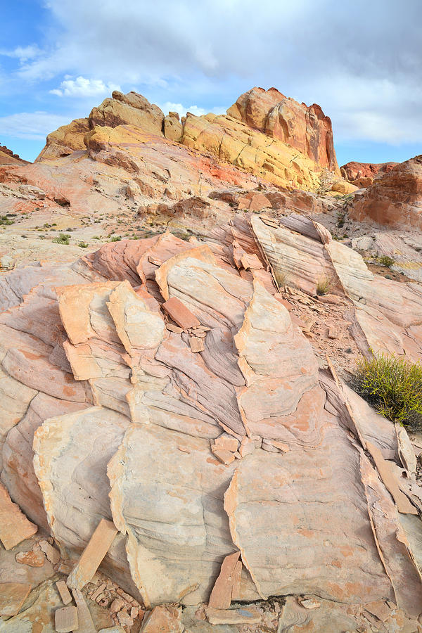 Valley of Fire #357 Photograph by Ray Mathis