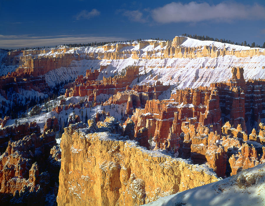312526 Bryce Canyon in Winter Photograph by Ed Cooper Photography
