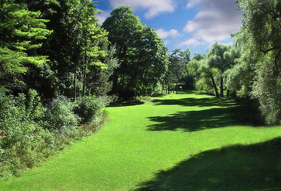 315 Golf Course Landscape Treeline Shadows Photograph by Eric