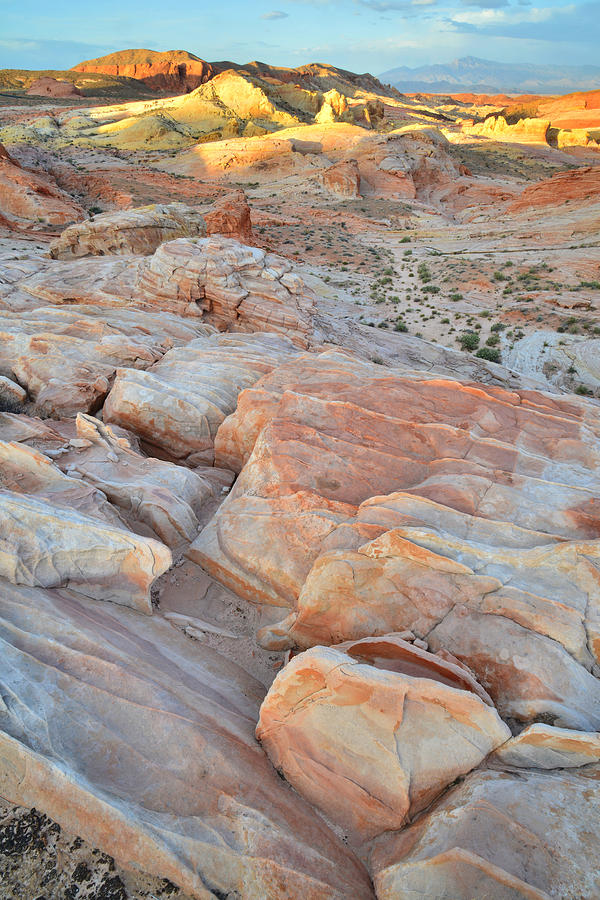 Valley of Fire #276 Photograph by Ray Mathis