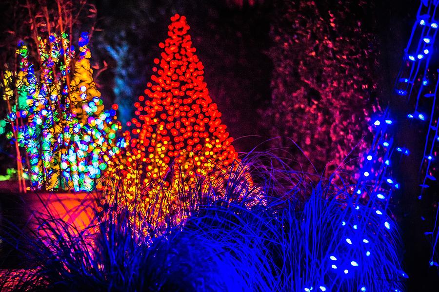 Christmas Season Decorations And Lights At Gardens #32 Photograph by Alex Grichenko