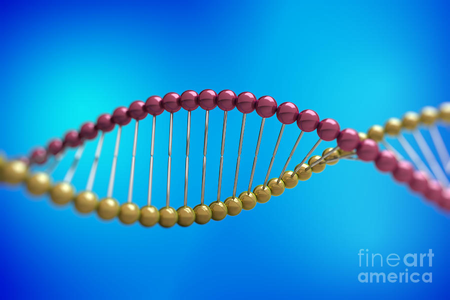 Dna Structure #32 Photograph by Science Picture Co