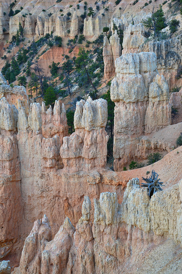 Fairyland Canyon #35 Photograph by Ray Mathis