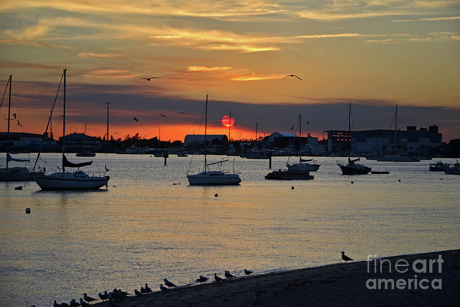 32- Florida Sunset                 Photograph by Joseph Keane