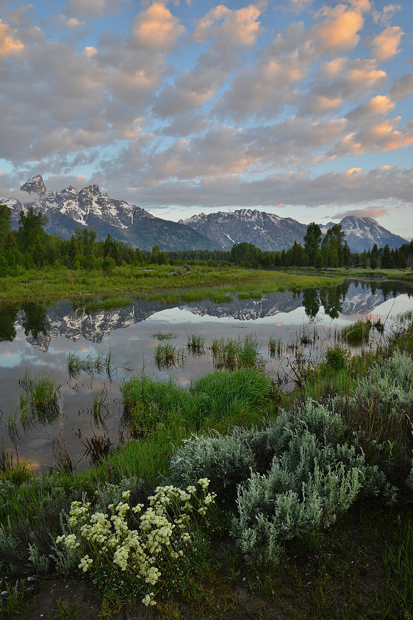Grand Teton National Park #32 Photograph by Ray Mathis