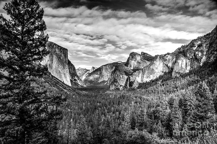 In Yosemite #32 Photograph by Marc Bittan