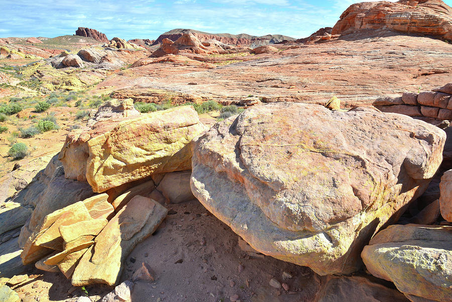 Multicolored Sandstone in Valley of Fire #6 Photograph by Ray Mathis