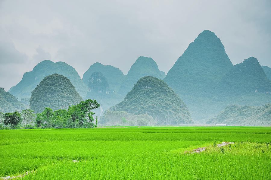 The beautiful karst rural scenery #32 Photograph by Carl Ning