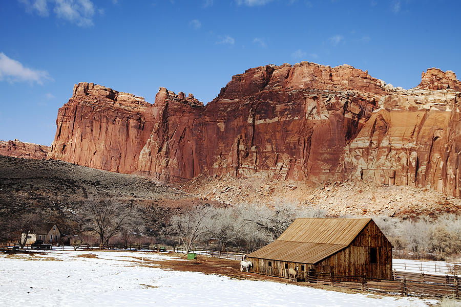 Capitol Reef National Park #322 Photograph by Mark Smith