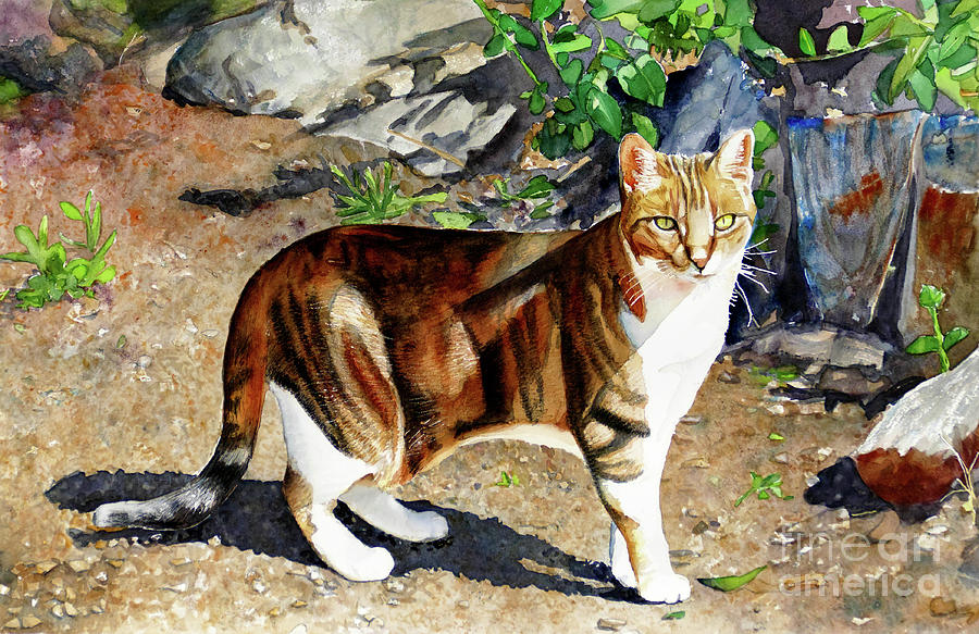 #323 Hortons Cat #323 Painting by William Lum