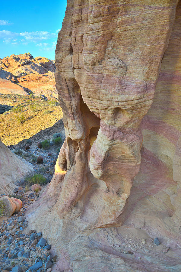 Valley of Fire #327 Photograph by Ray Mathis