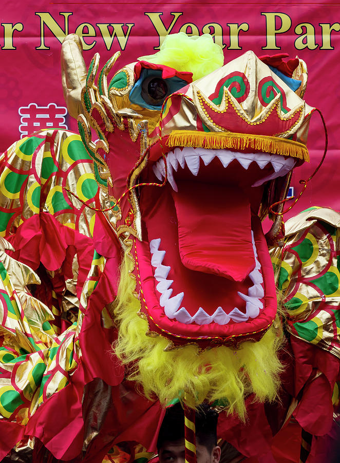 Chinese New Year 2018 Celebration NYC #33 Photograph by Robert Ullmann