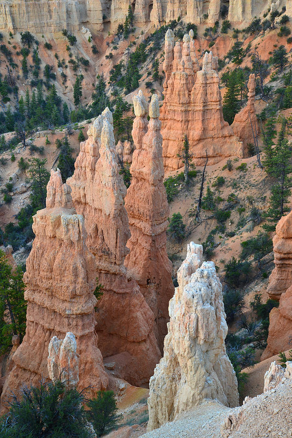 Fairyland Canyon #37 Photograph by Ray Mathis