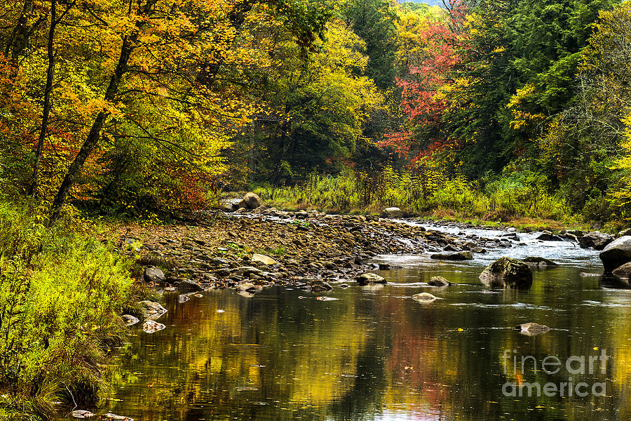 Fall Photograph - Fall along Williams River #33 by Thomas R Fletcher