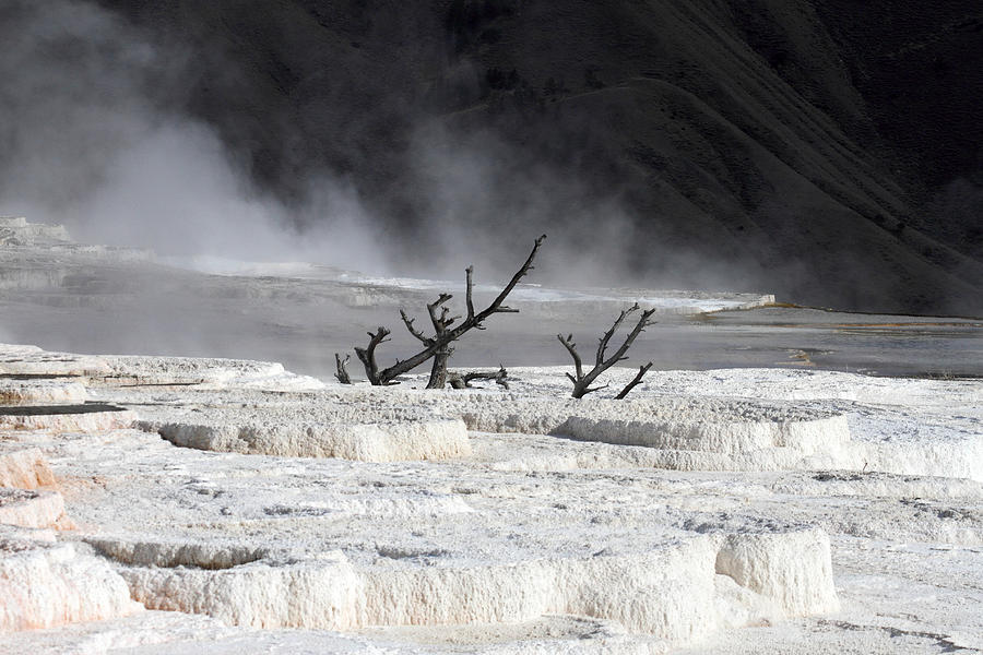Mammoth hot springs in Yellowstone National Park #33 Photograph by Pierre Leclerc Photography