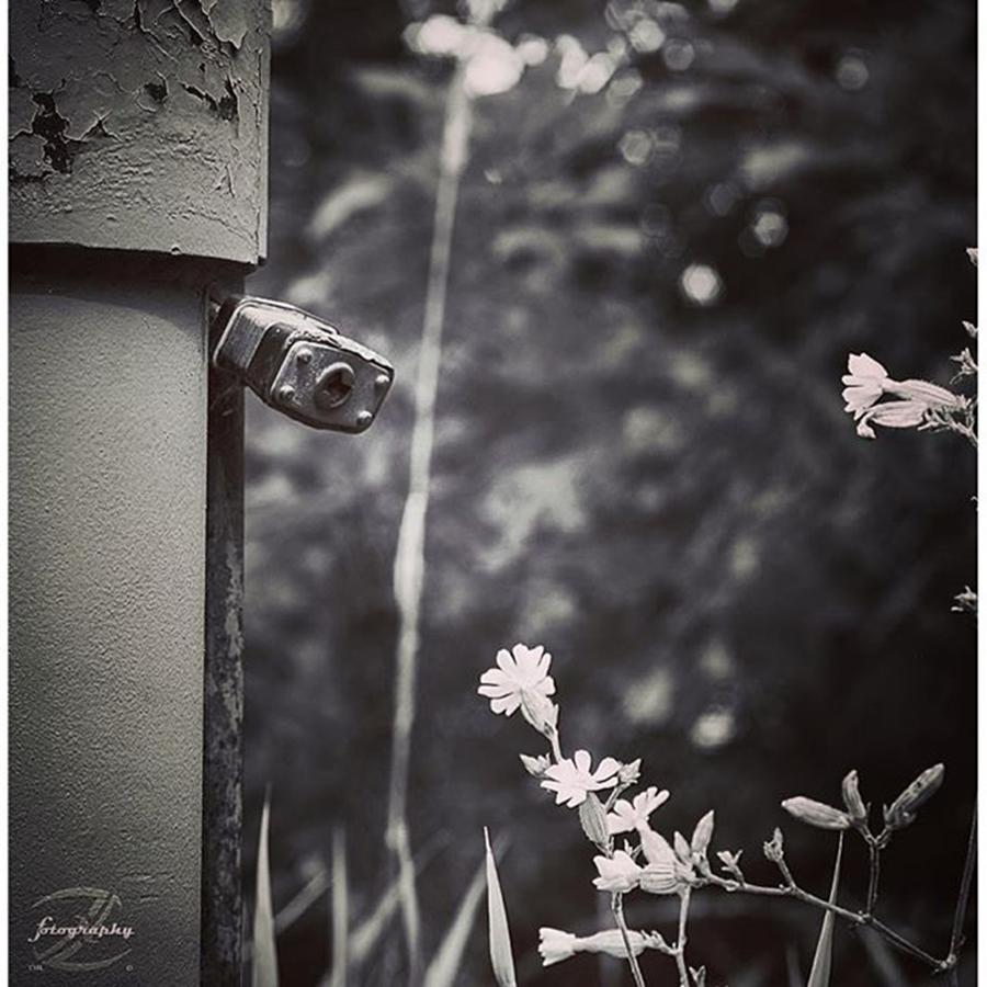 Pentax Photograph - 3/3-🔒no Matter How Strong The Lock #33 by Todd Lutz