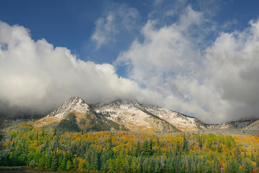 Rocky Mountain Fall #33 Photograph by Mark Smith