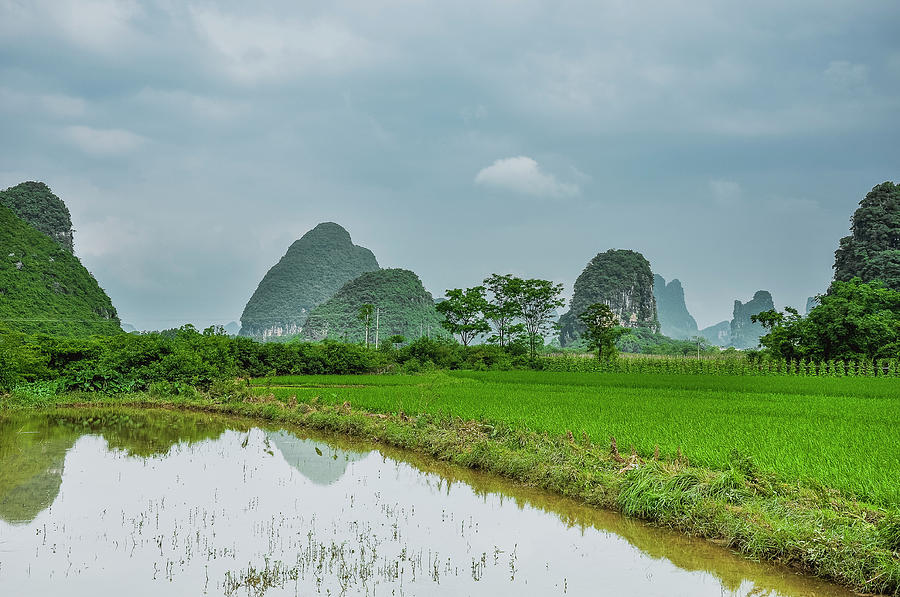 The beautiful karst rural scenery #33 Photograph by Carl Ning