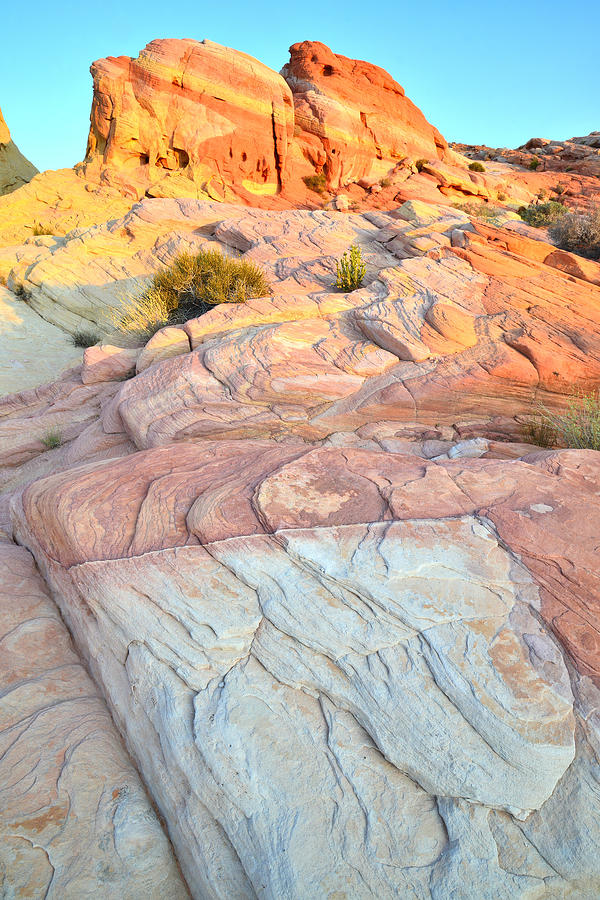 Las Vegas Photograph - Valley of Fire #343 by Ray Mathis