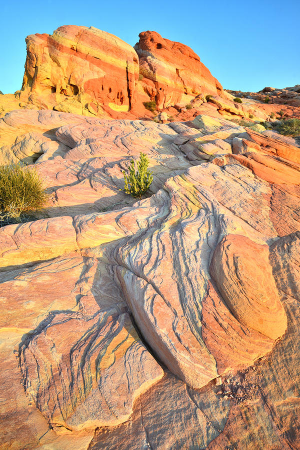 Valley of Fire #159 Photograph by Ray Mathis