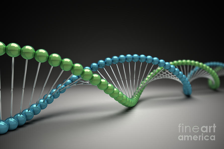 Dna Photograph - Dna Structure #34 by Science Picture Co