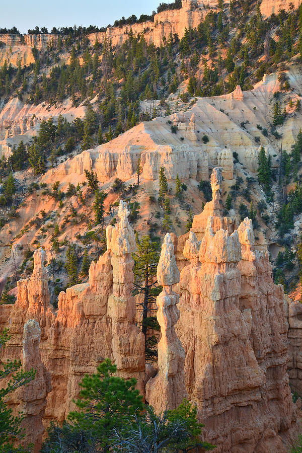 Fairyland Canyon #9 Photograph by Ray Mathis