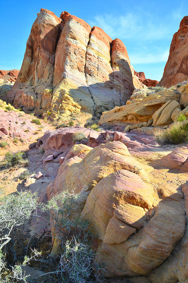 Valley of Fire #353 Photograph by Ray Mathis