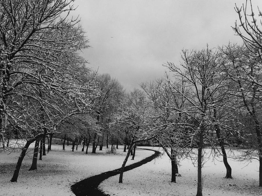 Snow Photograph - 3416 by Toni Martsoukos