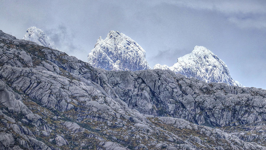 Amalia Glacier Chile #35 Photograph by Paul James Bannerman