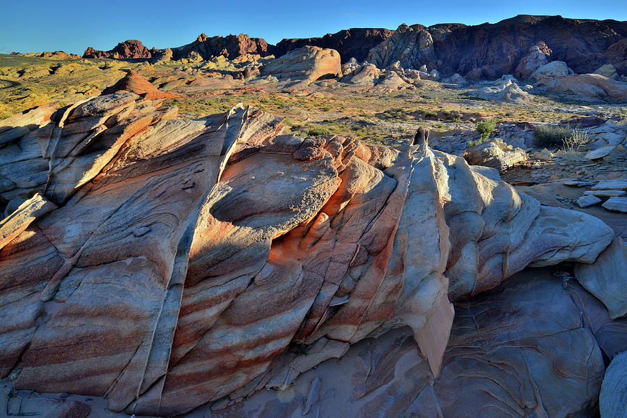 Colorful Sandstone in Valley of Fire #35 Photograph by Ray Mathis