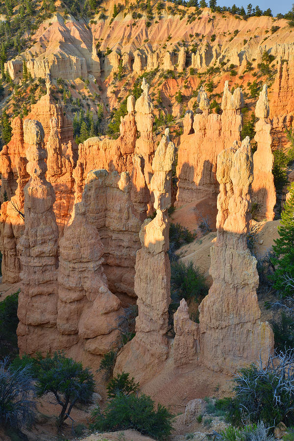 Fairyland Canyon #23 Photograph by Ray Mathis