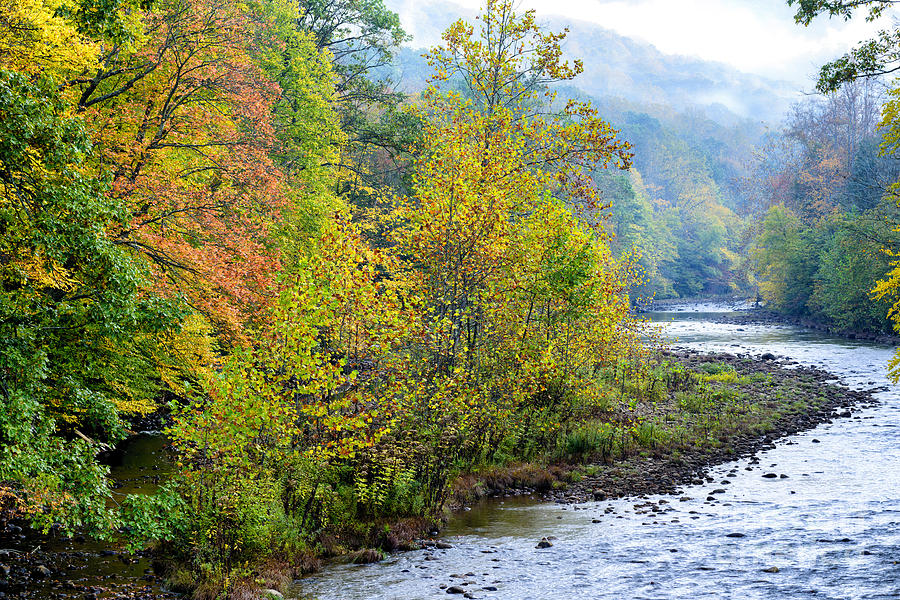 Fall Along Williams River Photograph By Thomas R Fletcher 