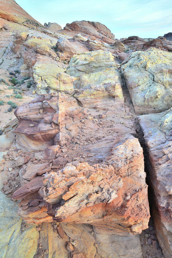 Multicolored Sandstone in Valley of Fire #38 Photograph by Ray Mathis