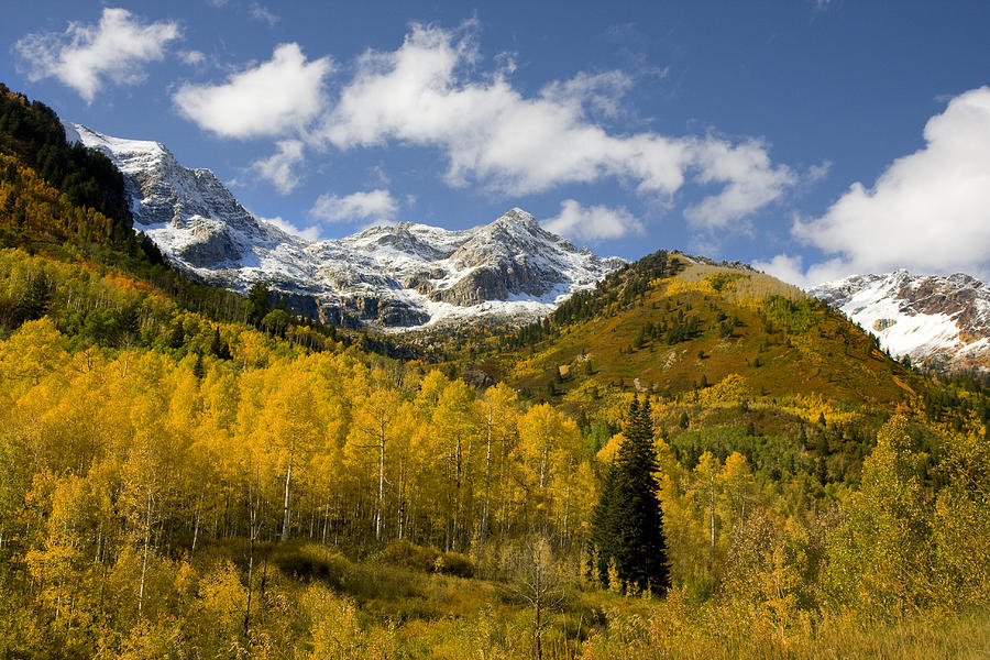 Fall Photograph - Rocky Mountain Fall #35 by Mark Smith
