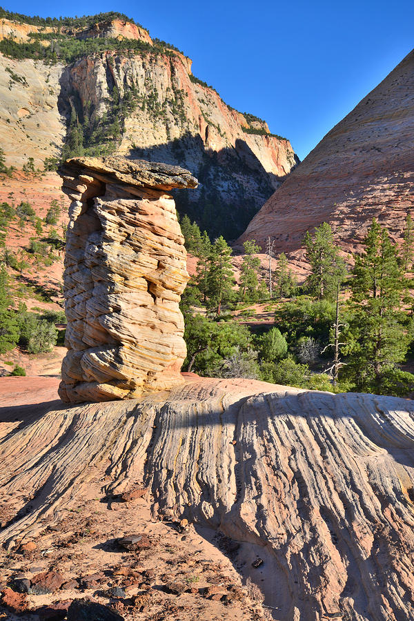 Zion National Park #28 Photograph by Ray Mathis