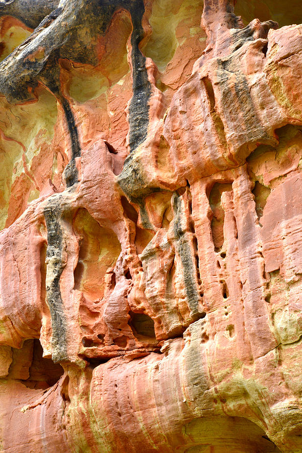 Capitol Reef Wall Art #8 Photograph by Ray Mathis