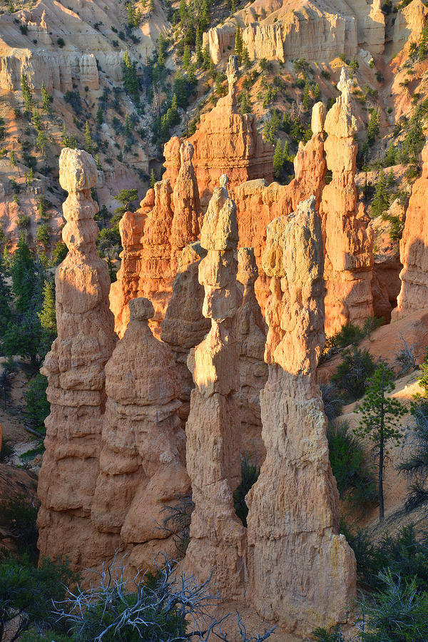 Fairyland Canyon #34 Photograph by Ray Mathis