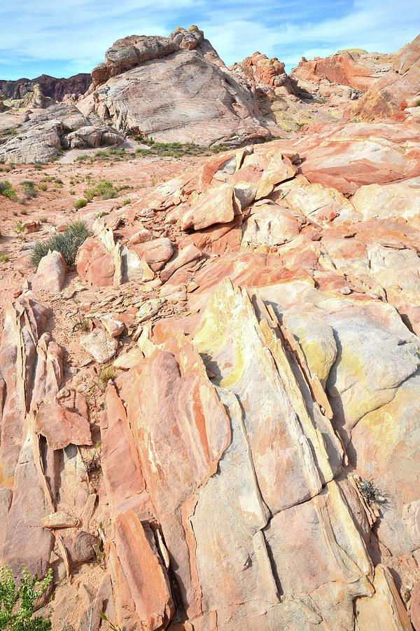 Multicolored Sandstone in Valley of Fire #29 Photograph by Ray Mathis