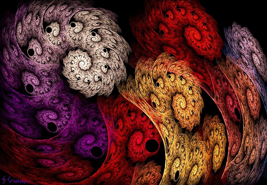 Abstract Digital Art - 36-rolled Up by Silvia Giussani