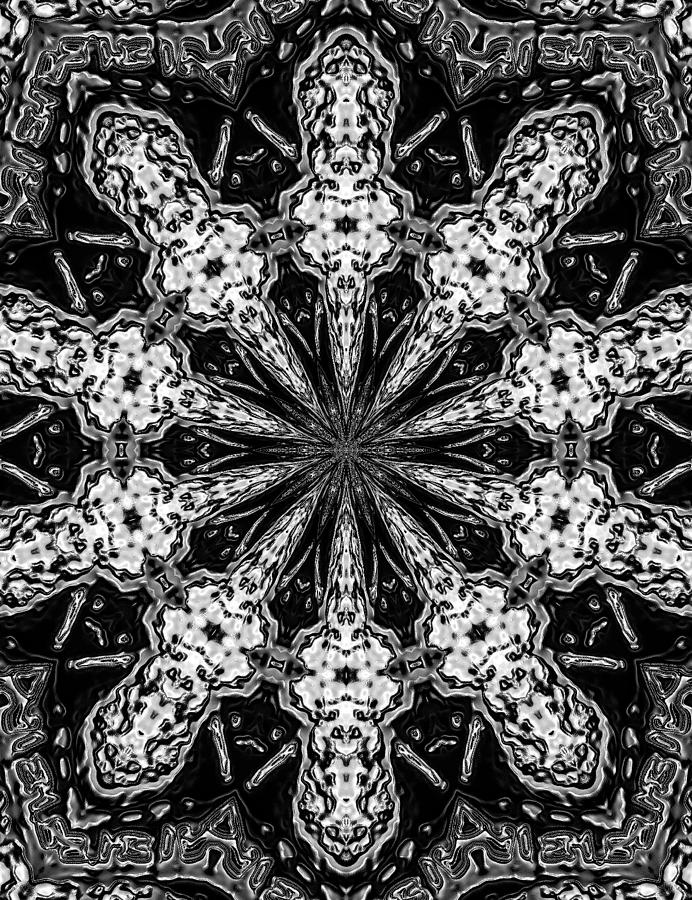 Snowflake #36 Digital Art by Belinda Cox
