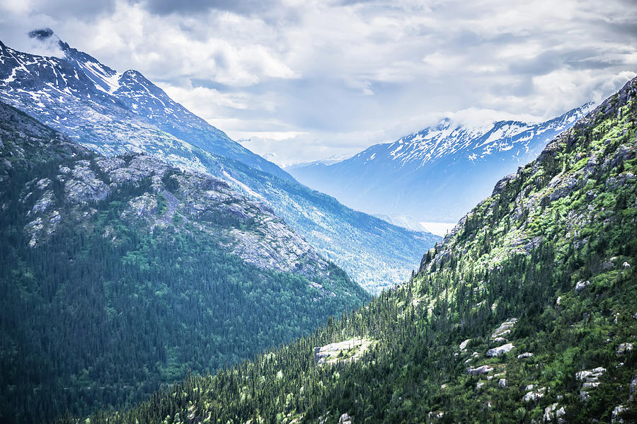 White Pass Mountains In British Columbia #36 Photograph by Alex Grichenko