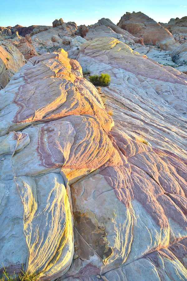 Valley of Fire #329 Photograph by Ray Mathis