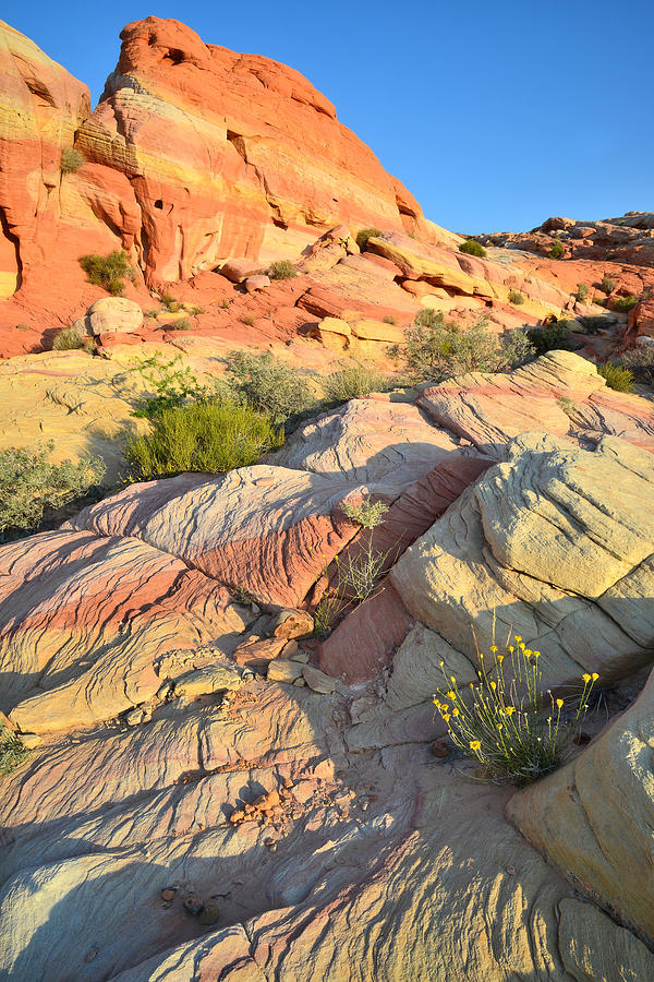 Valley of Fire #391 Photograph by Ray Mathis
