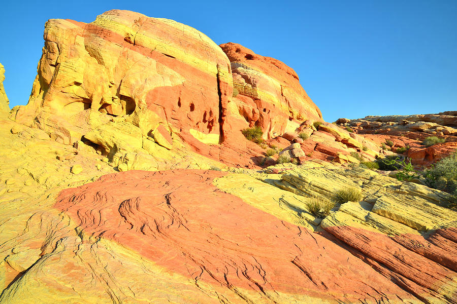 Valley of Fire #374 Photograph by Ray Mathis