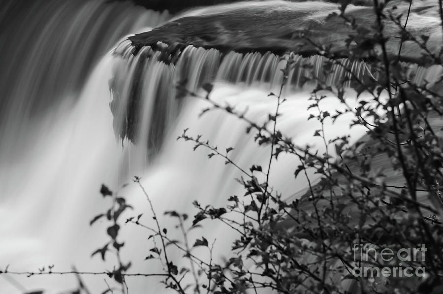 Aysgarth Falls #37 Photograph by Mariusz Talarek