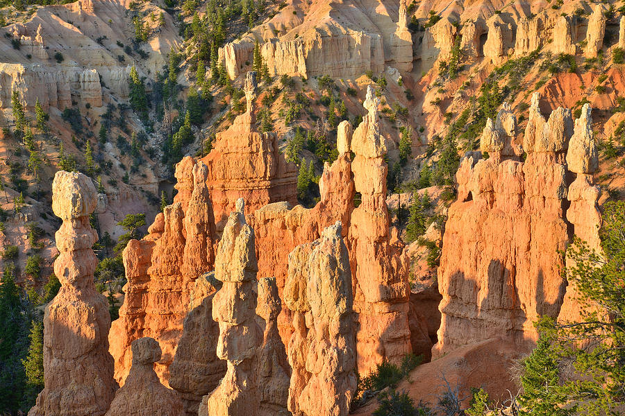 Fairyland Canyon #15 Photograph by Ray Mathis