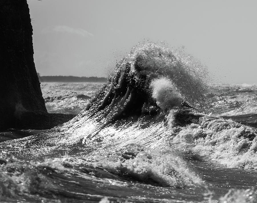 Lake Erie Waves #37 Photograph by Dave Niedbala