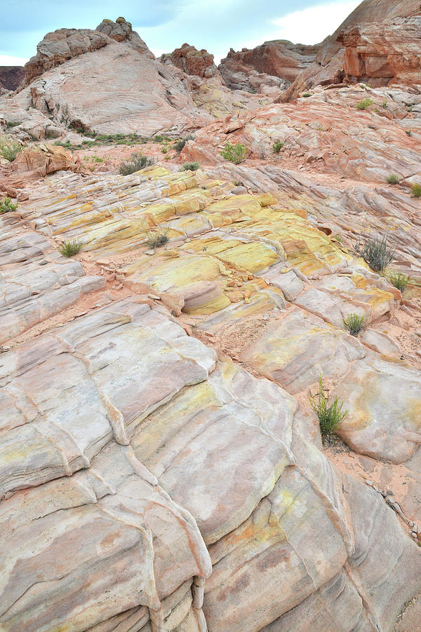 Multicolored Sandstone in Valley of Fire #35 Photograph by Ray Mathis