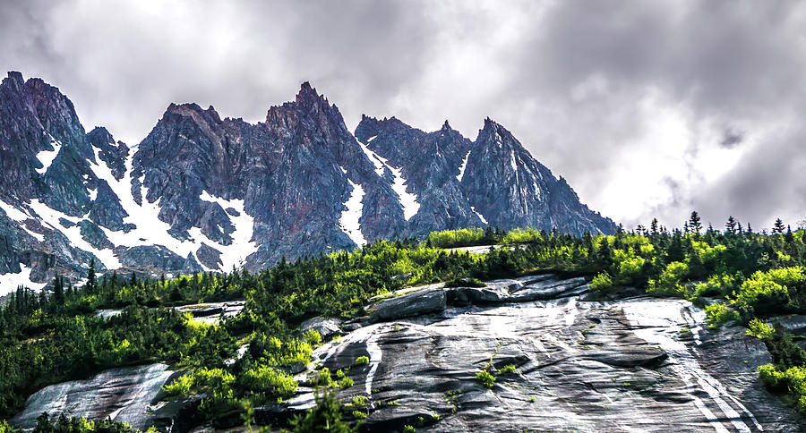 White Pass Mountains In British Columbia #37 Photograph by Alex Grichenko